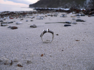 Sølv ring med titanium - er solgt